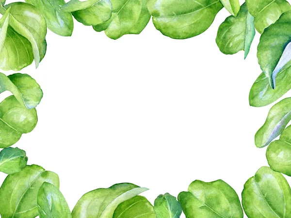 Virágos Design Akvarell Alma Ágak Zöld Levelek Elszigetelt Fehér Háttér Jogdíjmentes Stock Képek