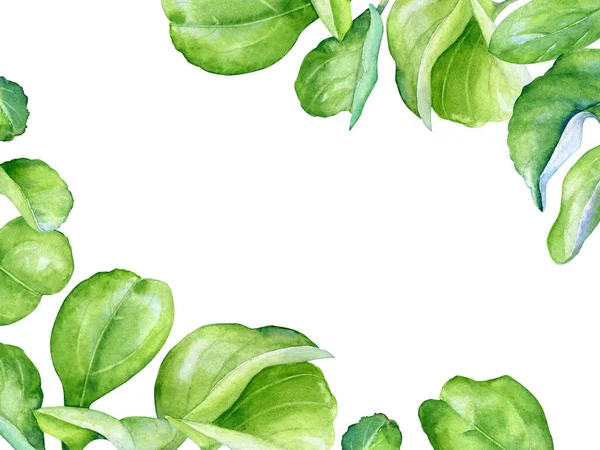 Květinový Design Akvarelem Jabloně Větve Zelenými Listy Izolované Bílém Pozadí Stock Snímky