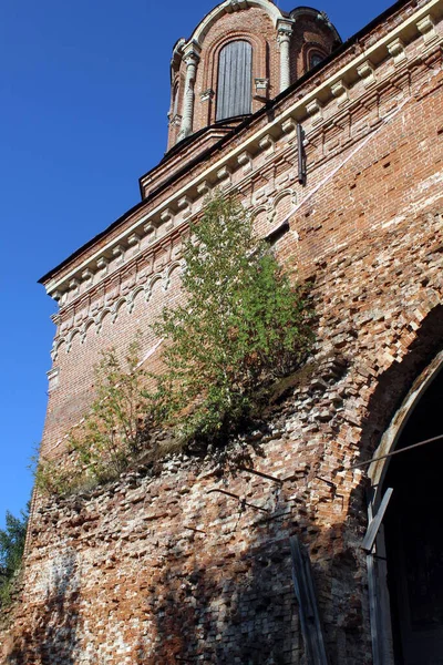 Ein Altes Verlassenes Kirchengebäude Mit Bäumen Bewachsen — Stockfoto