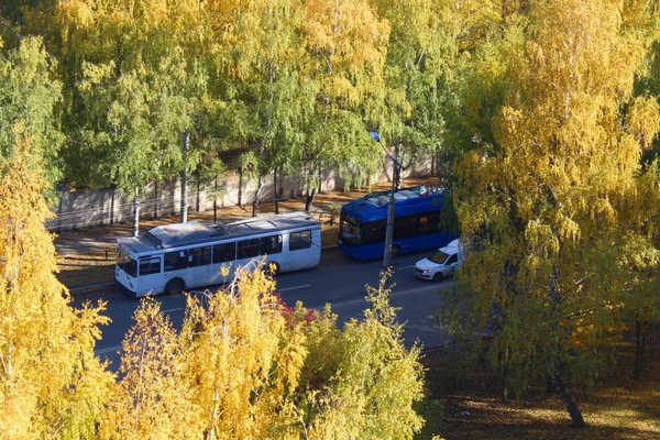Троллейбусы Стоят Обочине Дороги Городе Вид Сверху — стоковое фото