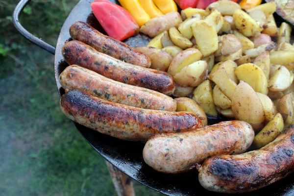 Sült Hús Zöldségekkel Utcán Finom Egészségtelen Piknik Ételek — Stock Fotó