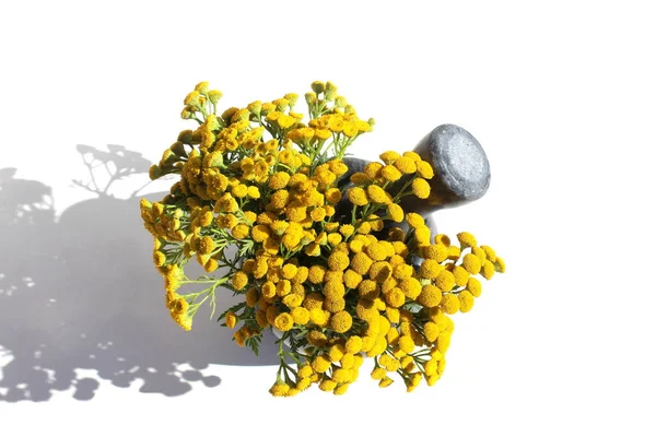 Taş Bir Havan Topunda Bir Buket Tansi Çiçeği Var — Stok fotoğraf