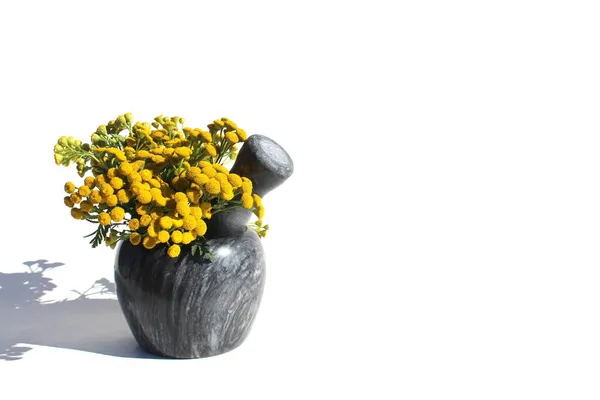 Букет Нежных Цветов Каменном Растворе — стоковое фото