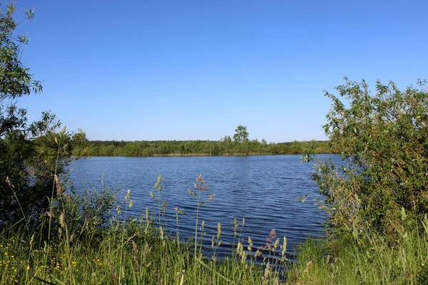 Paisaje Verano Con Estanque Árboles Día Soleado Verano — Foto de Stock