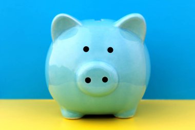 Domuz kumbarası mavi ve sarı üzerinde duruyor..