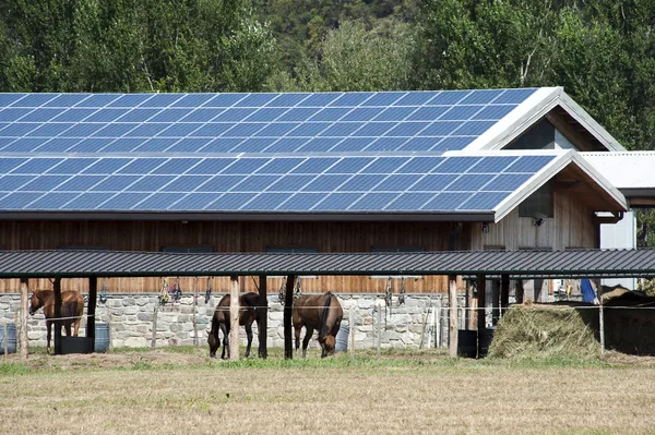 Сонячні батареї ферми Стокове Зображення