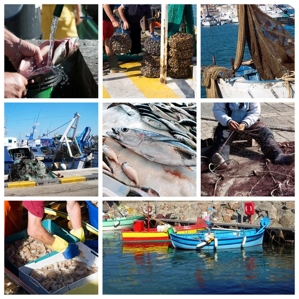 Ryby a rybaření koláž — Stock fotografie