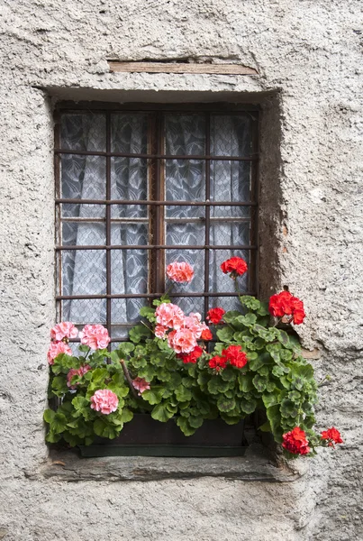 Fenêtre avec fleurs — Photo