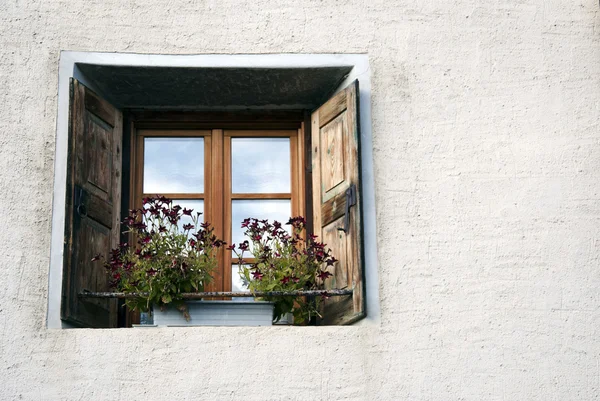Fönster med blommor — Stockfoto