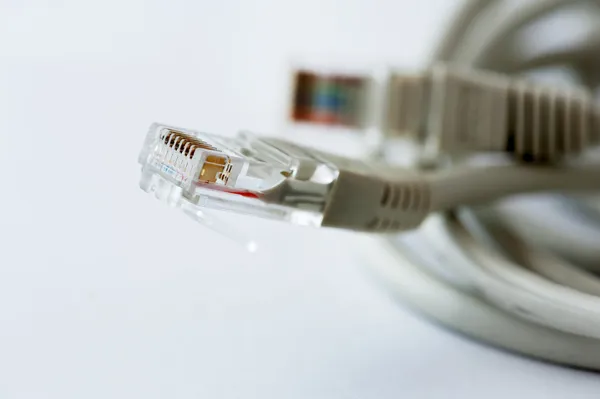 Cables conectores Rj45 — Foto de Stock
