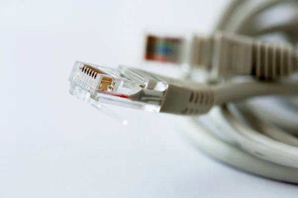 Rj45 connector cables Stock Picture