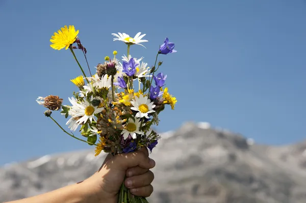 Flores para você — Fotografia de Stock