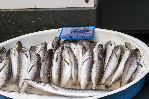 Bacalhau — Fotografia de Stock