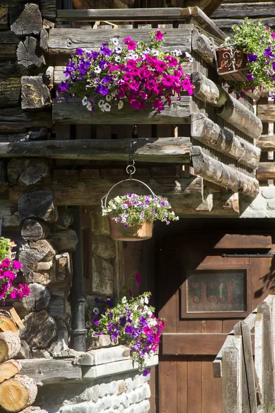Cottage fleurs — Photo