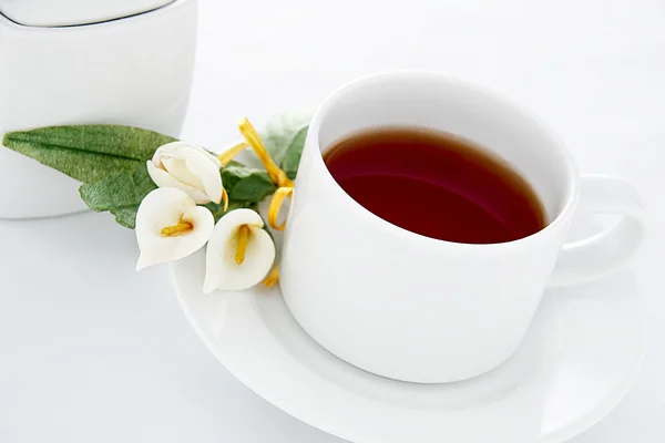 Tea time — Stock Photo, Image