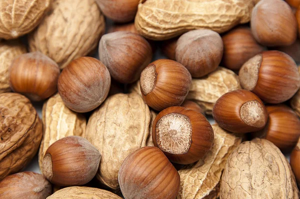 Frutos secos mezclados — Foto de Stock