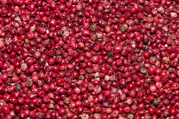 Pimienta roja — Foto de Stock