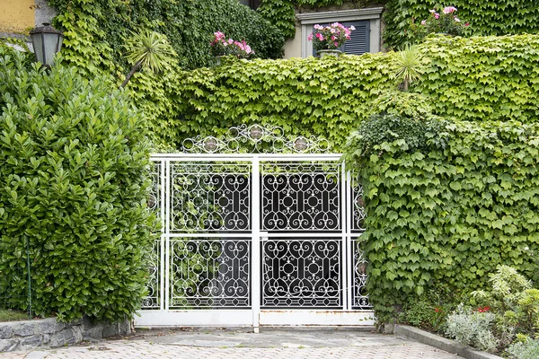 Wrought-iron gate — Stock Photo, Image