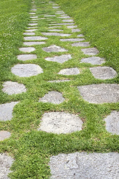 Het pad in de tuin — Stockfoto