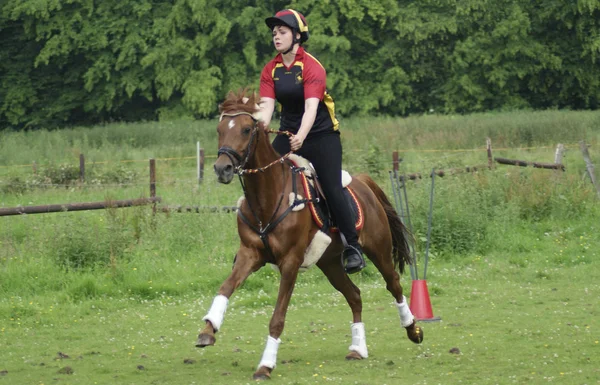 Mounted games horse riding — Stock Photo, Image