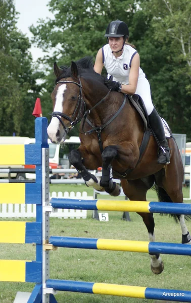 Show jumping — Stock Photo, Image