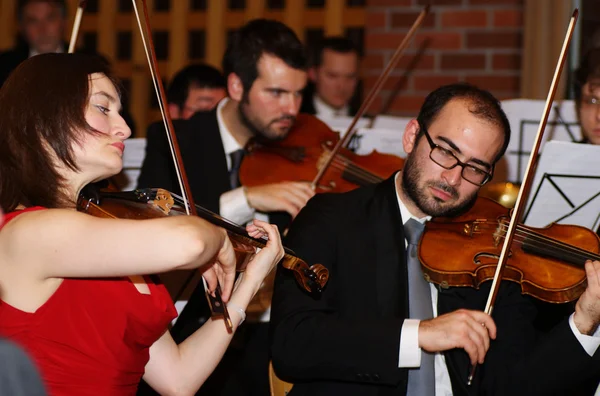 Violin concert — Stock Photo, Image