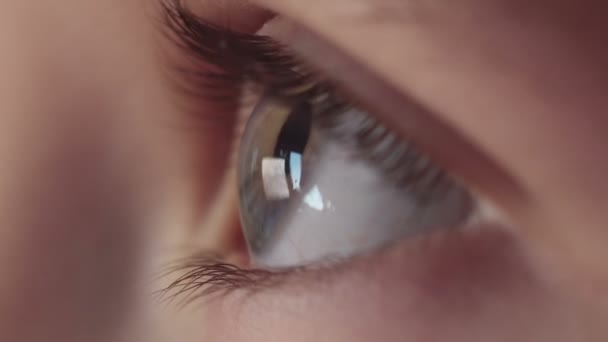 Ojo humano de cerca. Fotografía macro. 4k — Vídeos de Stock