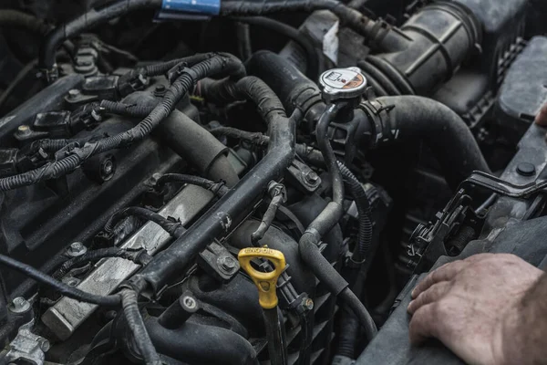 Changing the oil in the car, the process of checking the oil in the engine of the car 