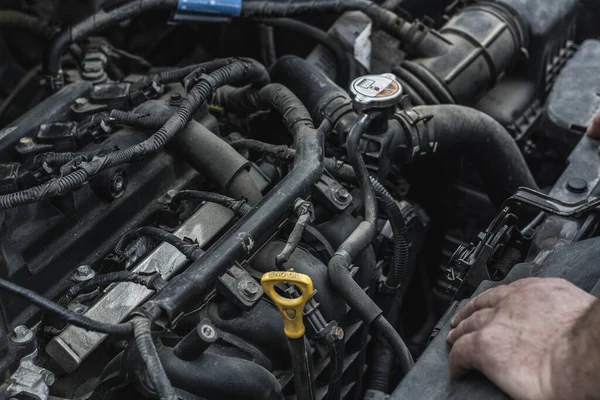 更换汽车中的油 检查汽车发动机中的油的过程 图库图片