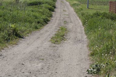 Köy yolu, küçük taşlar, karanlık gri patika, evler arası geçiş..