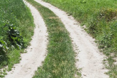 Kırsal kesimde toprak yol, güneşli bir günde tarlalarda yol..
