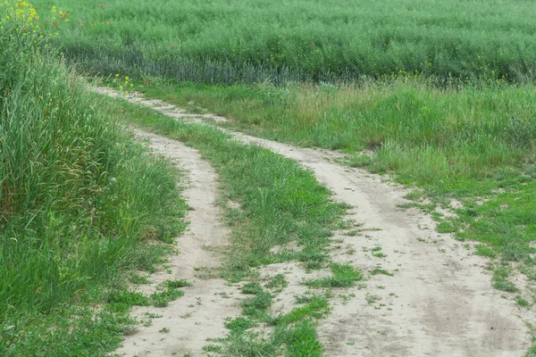 Kırsal kesimde toprak yol, güneşli bir günde tarlalarda yol..