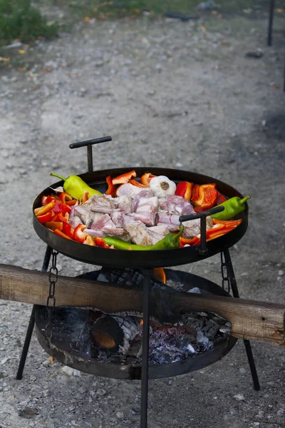 Cooking Meat Vegetables Grill Caucasian Cuisine — Stock Photo, Image