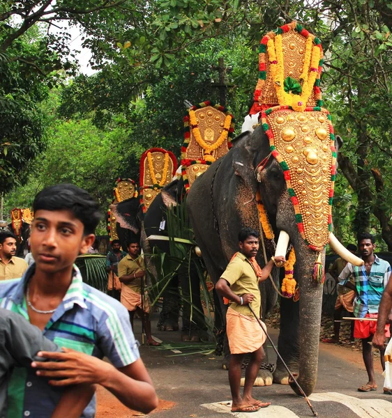 Ingericht olifanten in parade in het jaarlijkse festival, varkala, india Stockafbeelding