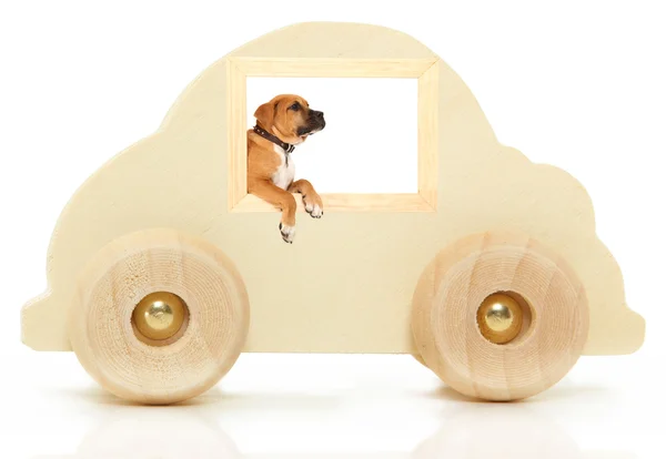 Brinquedo de carro de madeira com boxer na janela — Fotografia de Stock