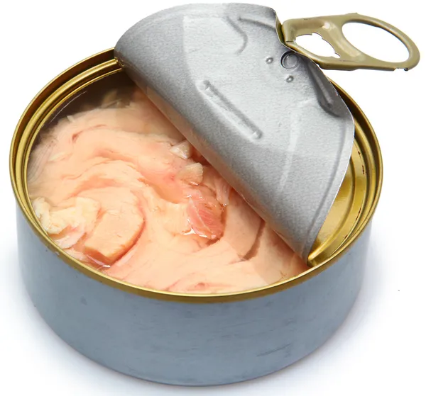 Konserven Soja frei albacore weißes Fleisch Thunfisch Stockbild