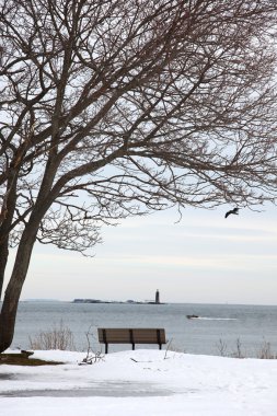maine kıyısı