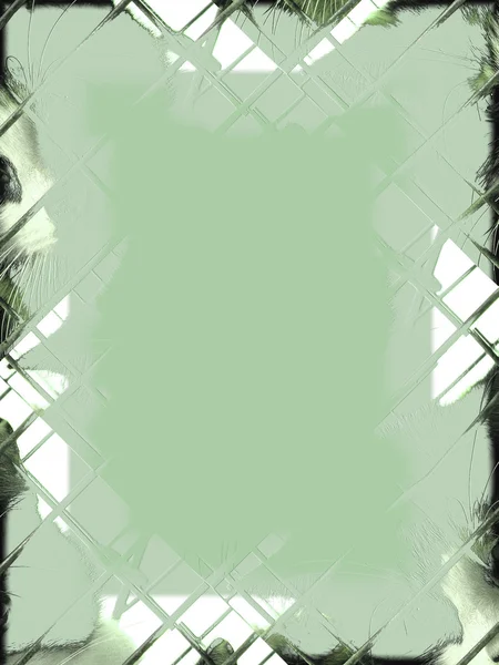 Yeşil kare — Stok fotoğraf