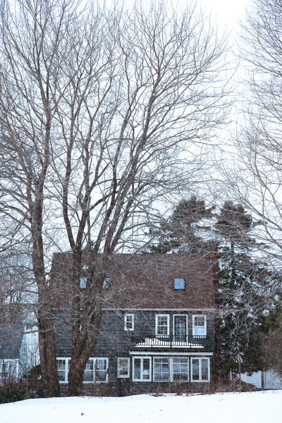 Tempesta di neve — Foto Stock