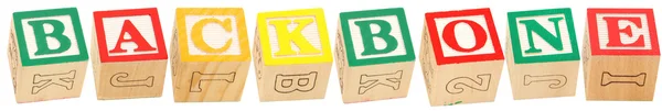 Alphabet Blocks BACKBONE — Stock Photo, Image