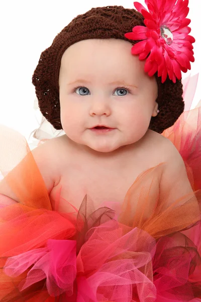 Baby in Tutu Stock Picture