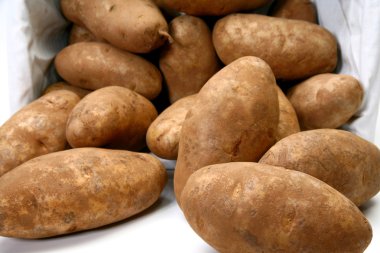 Jumbo sade patates