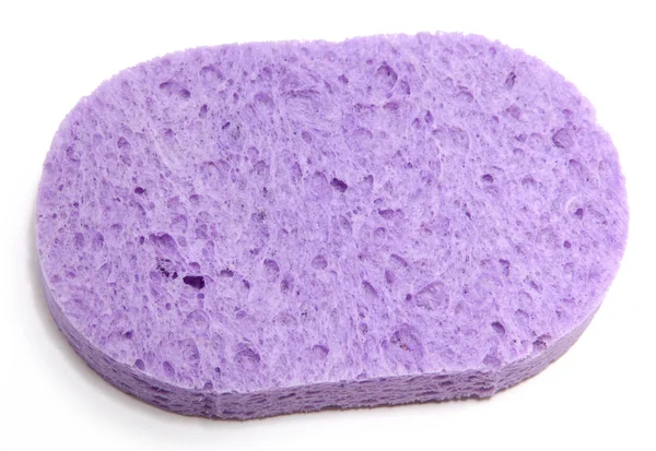 Пурпурная губка — стоковое фото