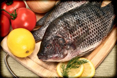 Two Raw Tilapia Fish in Vintage Style Photograph on Cutting Board clipart