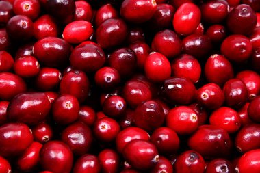 ham cranberries kadar yığını kapat