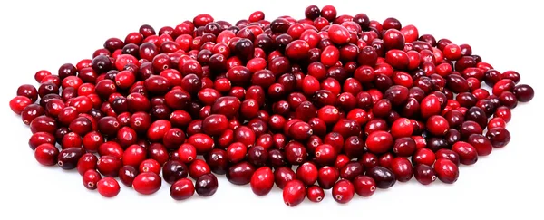 Taze çiğ cranberries yığını — Stok fotoğraf