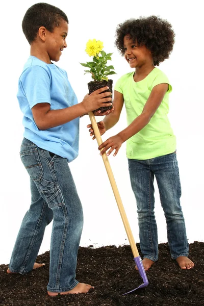 かわいい黒兄と妹一緒に花を植えること — ストック写真