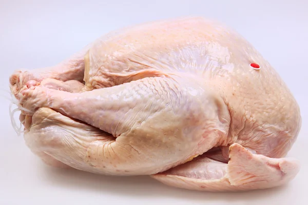 Whole Raw Turkey — Stock Photo, Image