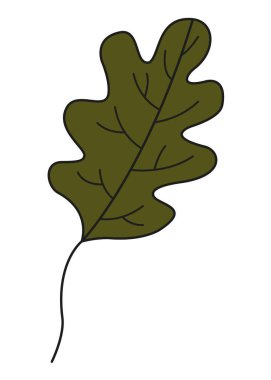 Yaprak renkli ikon. Vektör logo bırakır. Yeşil sonbahar yaprağı. Projeleriniz, çizimleriniz, web siteleriniz için sonbahar yaprakları.