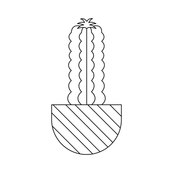 Ikoon Met Lineaire Cactus Lineaire Vectorillustratie Met Exotische Cactus Succulent — Stockvector